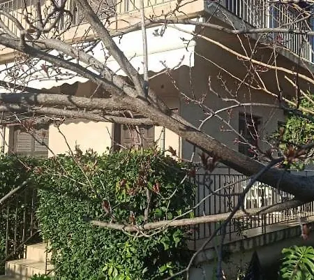 Nikos Holidays House *
