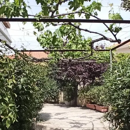 Nikos Holidays House Holiday home Akrata