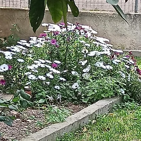 Nikos Holidays House 度假居 阿克拉塔